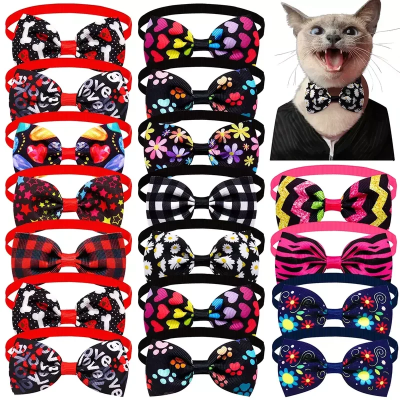 bestdealplus-520260519112536127060