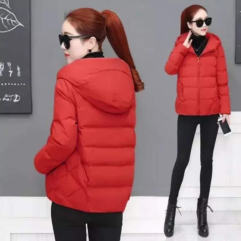 bestdealplus-520260519121602140646