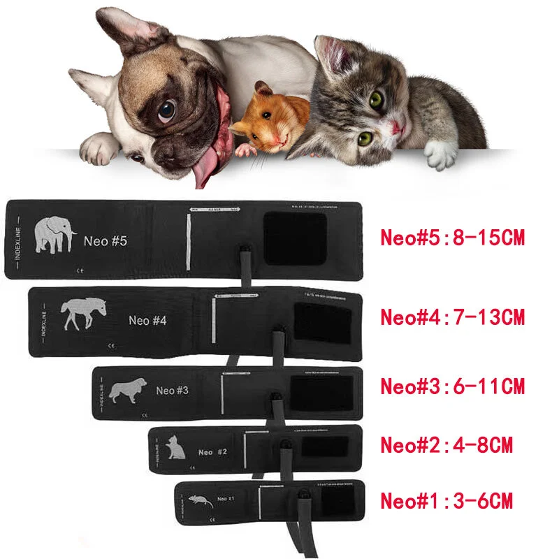 bestdealplus-520260519172341199930